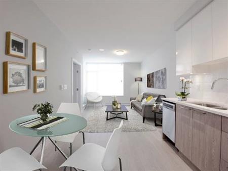 Modern & Lavish One-Bedroom WHigh Ceilings - Reduced Security Deposit