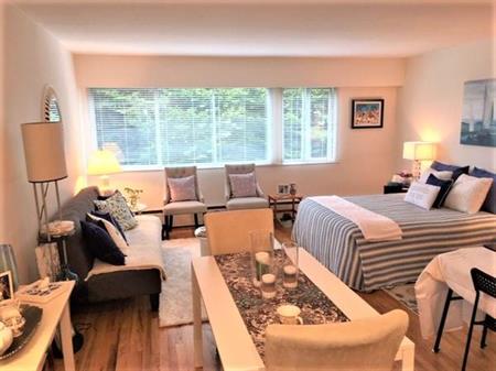 Spacious Bachelor Apartment across from Beacon Hill Park