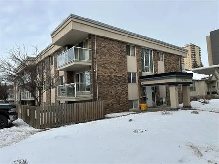 gorgeous 1 bedroom for rent in oliver | 207 - 10230 120 Street Northwest, Edmonton