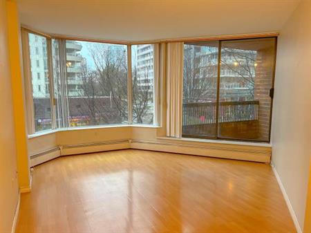 $2,200 / 1br - 545ft2 - SPACIOUS 1-BR CONDO DOWNTOWN SOUTH / WESTEND