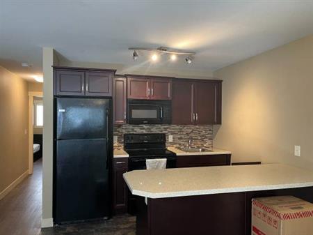 2 Bedroom Suite near UBCO in kelowna