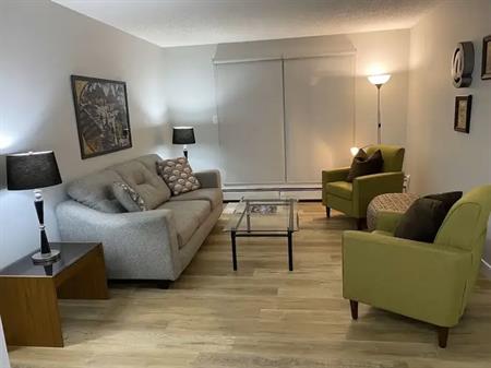 RENOVATED FULLY FURNISHED DOWNTOWN 1BR | 201 - 10529 93 St NW, Edmonton