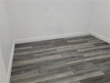 Bright One bedroom Basement For Rent