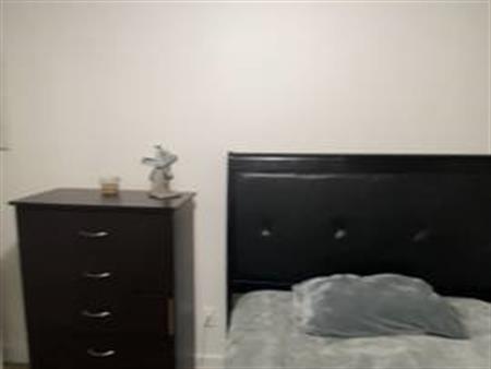 Downtown One bedroom fully furnished