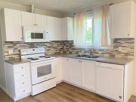 New Reno 3BR MnFlr-newer kitchen/bath/floors,design8ed fenced yard-pets ok | 6783 Malvern Road Northeast, Calgary