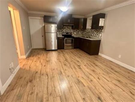 Basement in North Delta On 80 Avenue @ Half Rent For 1st Month