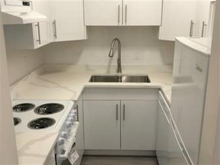 Newly Renovated, 2 Bedroom Suite with View in Mount Pleasant