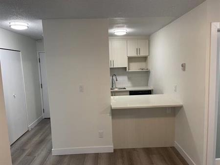 Newly Renovated, Open Concept 2 Bedroom Suite in Mount Pleasant