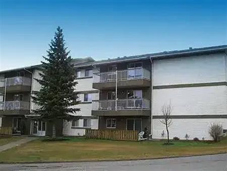 1- 2 Bdrm Suites Avail, Starting @ 1400/mo w/ Incentives: CONDO/APT Style Full Sized Appliances: GREAT LOCATION, Paths + | 11