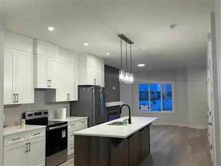 Brand New Detached House | 721 Mattson Drive Southwest, Edmonton