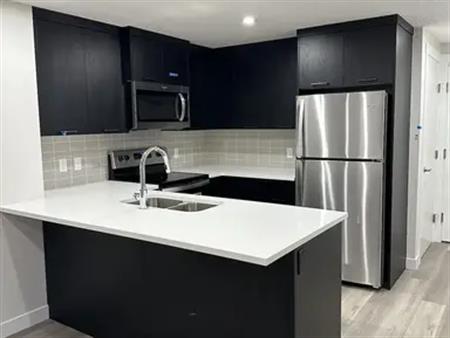 Brand new Basement Suite 9 ft ceilings | 201 Haskayne Drive Northwest, Calgary