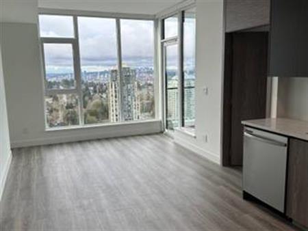 Brand New 2 Bed 2 Bath Condo for Rent $2,850