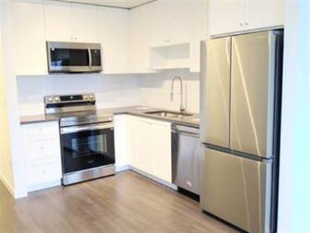 Brand New 2 bedroom/ one bath in Fleetwood Village 2 condo