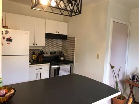 2 bedroom apartment (Main Street area)