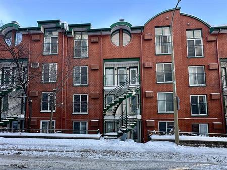 Appartement Montréal (Ville-Marie) À Louer