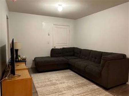 1 bedroom basement suite for rent in Aldergrove