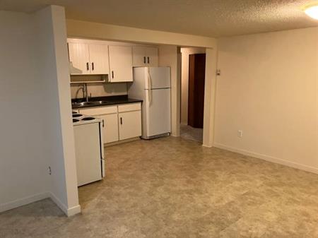 2 bedroom 1 bath - Lake Cowichan basement suite