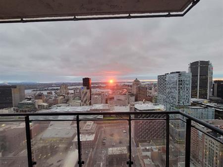 Luxury Downtown One-Bedroom Apartment