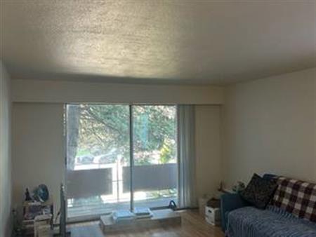 1 Bedroom on Selkirk