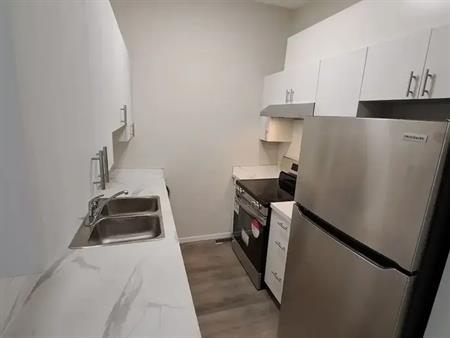 Brand New Reno- Excellent location Tuxedo | A - 133 22 Avenue Northeast, Calgary