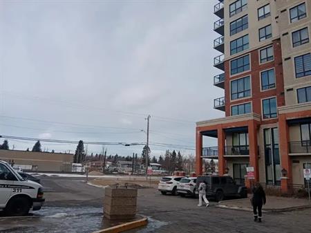 1 bedroom& Den +1 bath Apartment 5 minutes away from Heritage LRT Station | 503 - 8710 Horton Road Southwest, Calgary