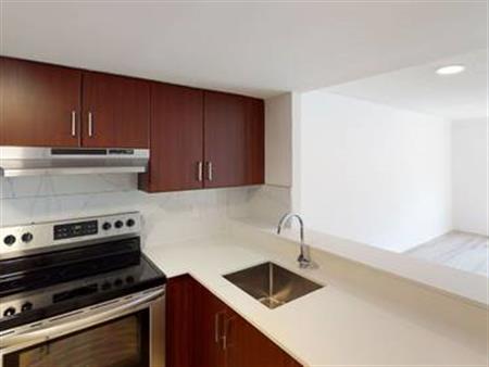 1-Bedroom Apartment | Downtown Ottawa | Available Feb 1