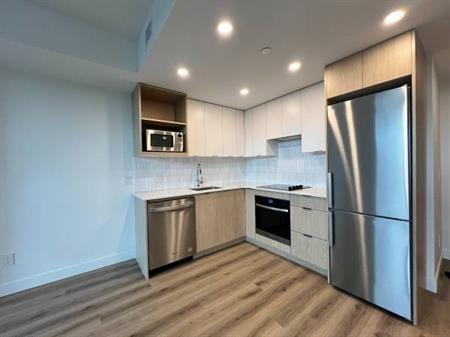 BRAND NEW 1 bed/1 bath condo (#2409)