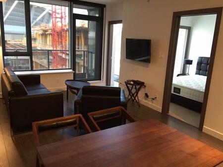 Pet Allowed Furnished 2 BEDROOM @ 38 Smithe - Available April 1st