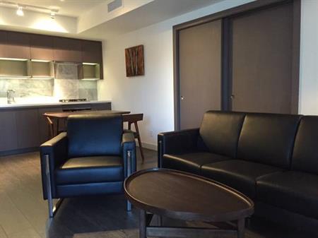 Pet Allowed Furnished 2 BEDROOM @ 38 Smithe - Available April 1st