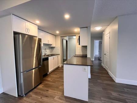 Newly Renovated 3 BR/1.5BA near SFU, Lougheed Mall, Skytrain Statin