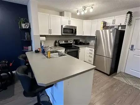 Furnished & Modern 1 Bedroom 1 Bath + Den apartment in quiet neighbourhood | 208 - 1820 Rutherford Rd SW, Edmonton