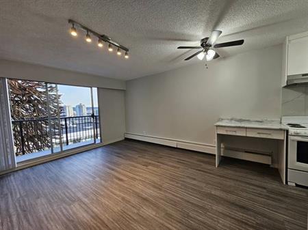 STUDIO in New West - RENOVATED, TOP floor, from March 1st