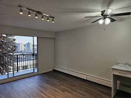 New Westminster STUDIO - Top floor, renovated - March 1st