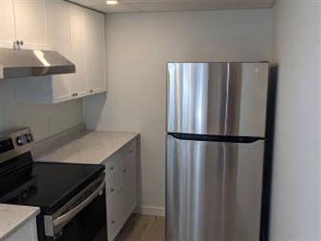 2 Bed + Den, 1 Bath Basement Suite