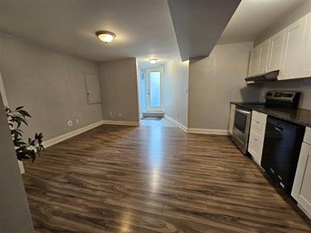 NEW 1-BR Apartment