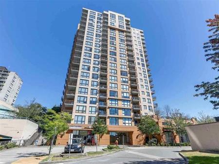 New Renovated Large 2 bedroom Condo in Coquitlam West