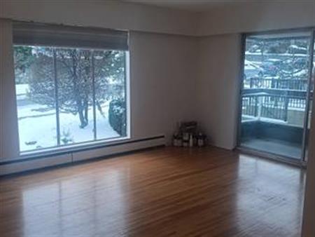 1 br apartment in kitsilano