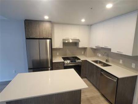 Brand New Ground Level 2 bed/ 2 bath/ 2 Parking Open and Bright!