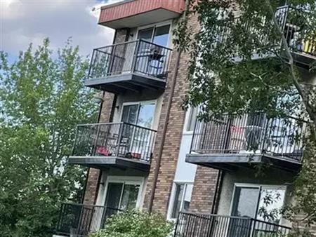 LARGE, BRIGHT TOP FLOOR ONE BEDROOM CONDO | 407 - 10335 117 Street Northwest, Edmonton