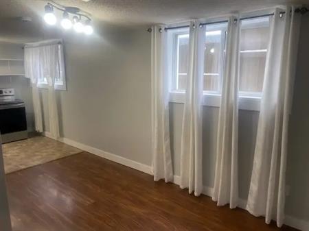 1 Bedroom, private entrance, walkout, large windows | 1231 Child Avenue Northeast, Calgary