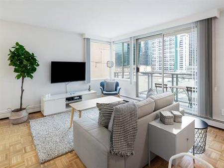 Beautiful Fully Furnished Studio in the Heart of Downtown