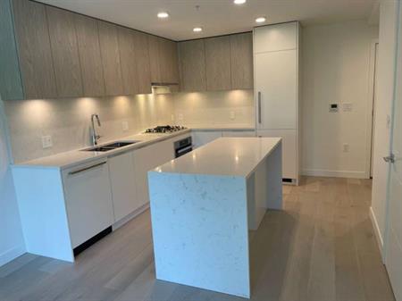 Cambie + King Edward Brand New One Bedroom Condo For Rent