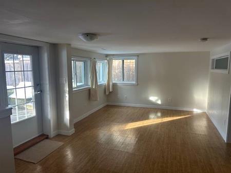 1 BR BSMT SUITE