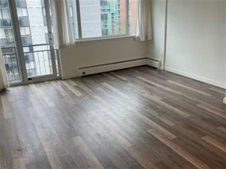 Renovated One Bedroom near Stanley Park.