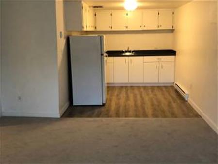 One Bedroom Apartment in Esquimalt! New paint and flooring!