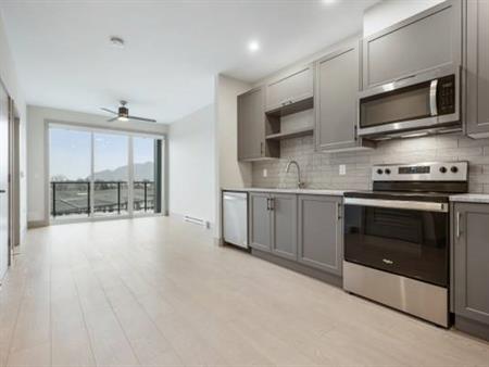 UNIT 1101 VANTAGE! BRAND NEW UNITS. 1 bedroom, 1 bathroom + den.