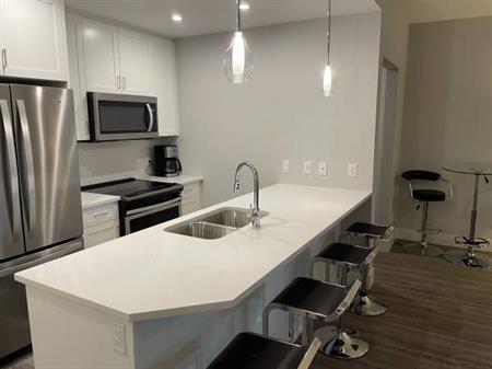 New & beautiful furnished 1bdrm plus den condo for rent