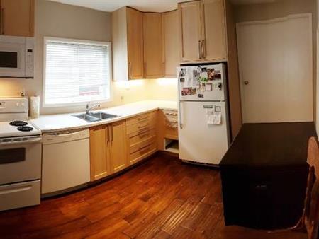 Ground floor 1-bedroom plus den unit in dog friendly house