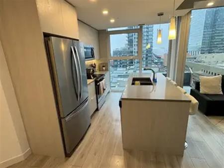 2 bed 2 bath Downtown Condo | 10180 103 ST NW, Edmonton