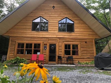 chalet à louer en bois rond